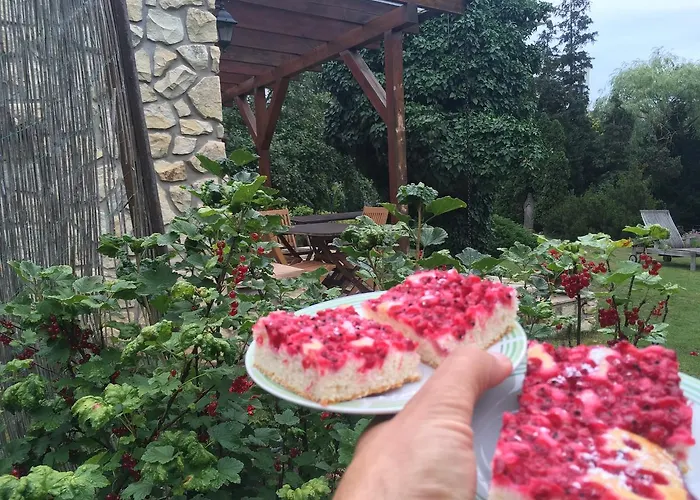 Karnet