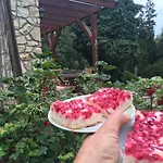 Karnet